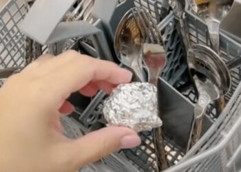 Expert luidt noodklok: “Stop deze dingen niet meer in de vaatwasser!”